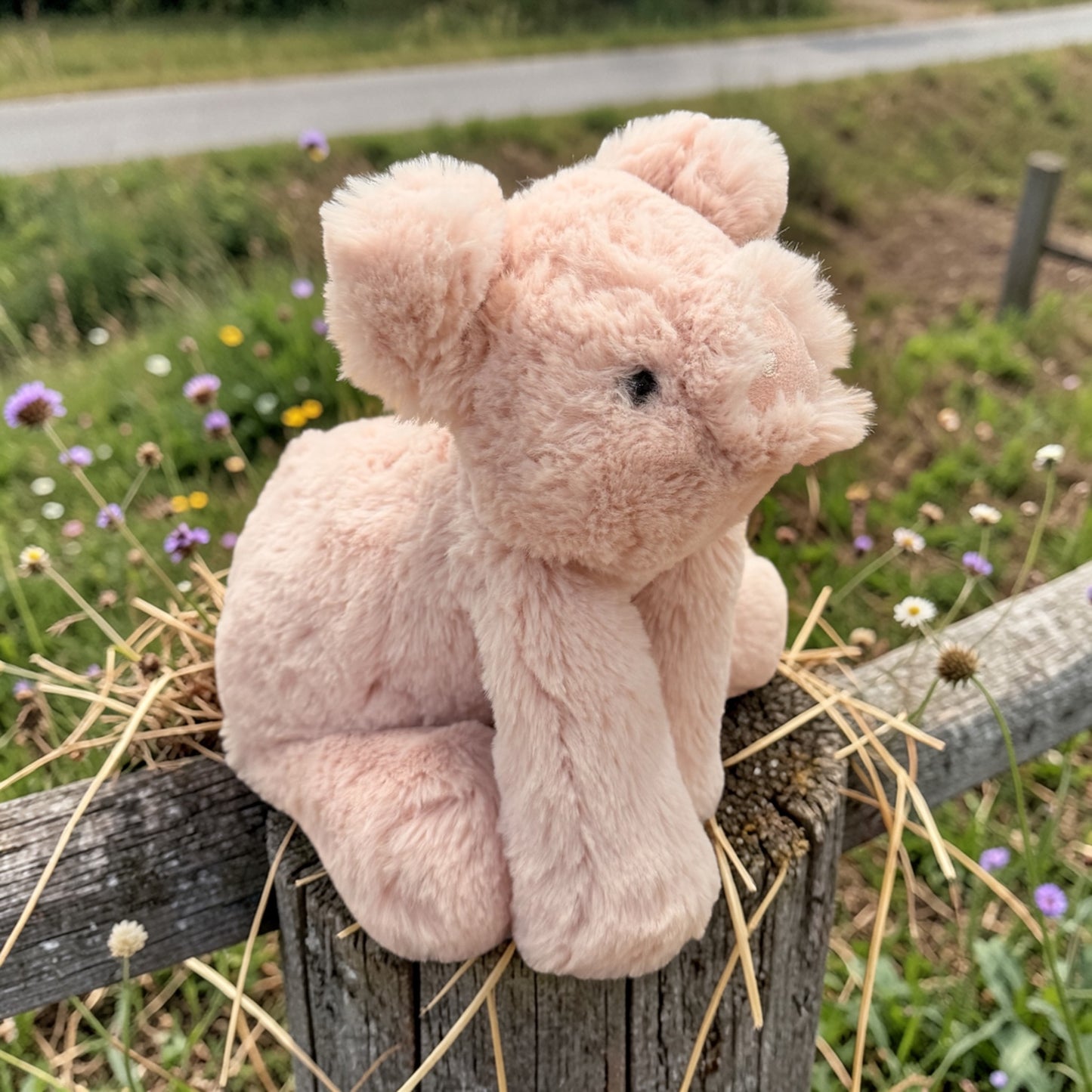 Smudge Pig - Schwein