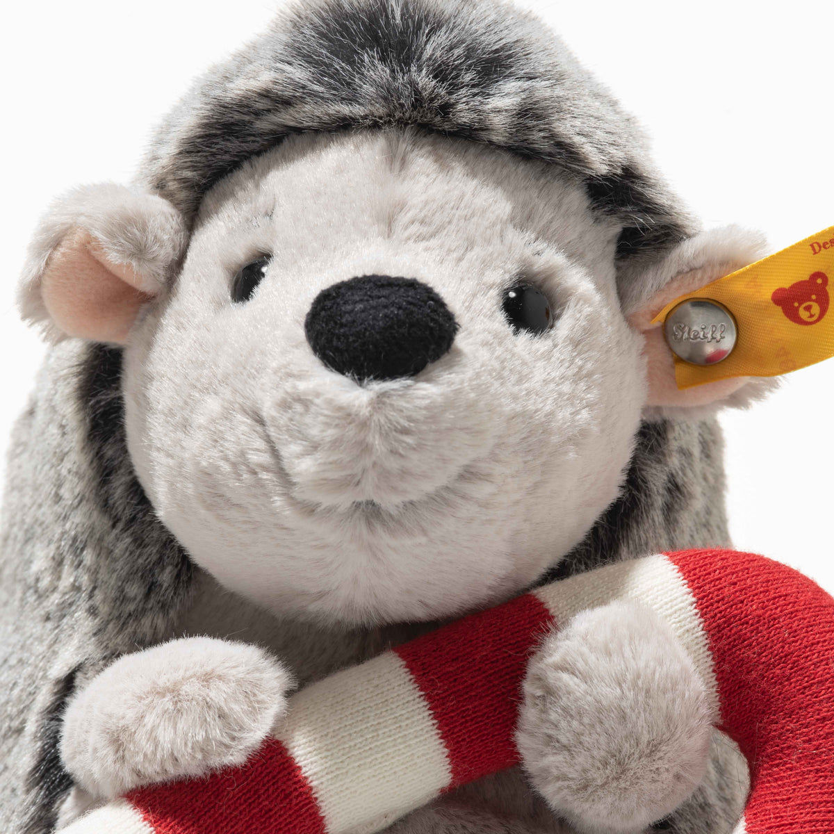 Igel Christmas