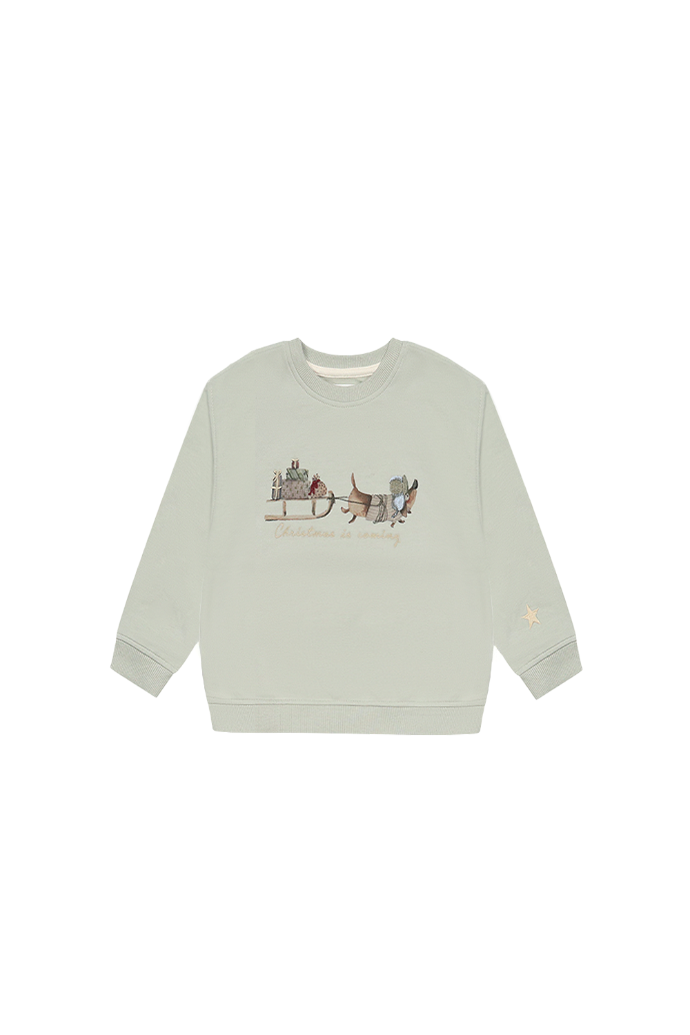 Oversized Sweatshirt Dackel "Christmas is coming" soft green