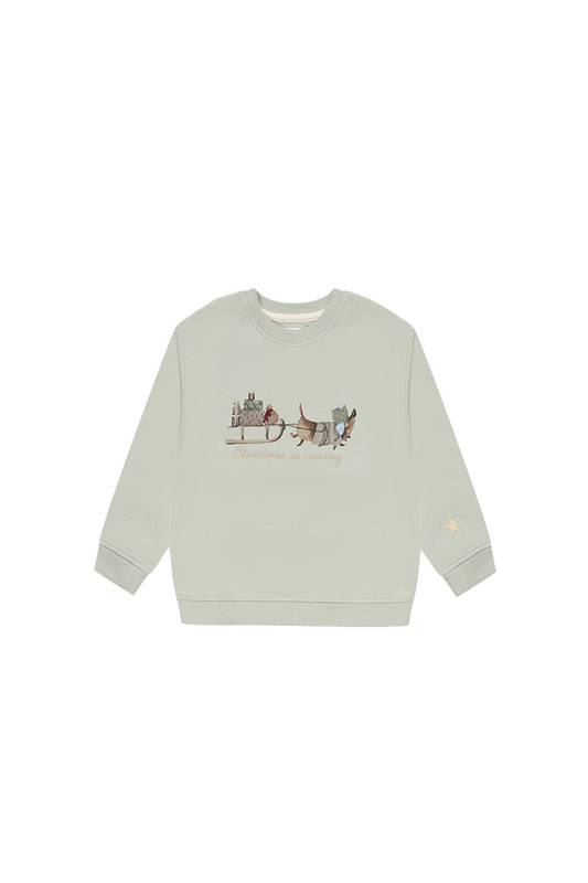 Oversized Sweatshirt Dackel "Christmas is coming" soft green
