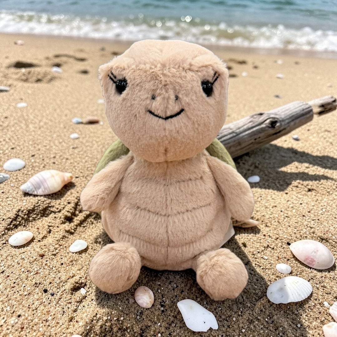 Thimble Turtle - Kleine Schildkröte
