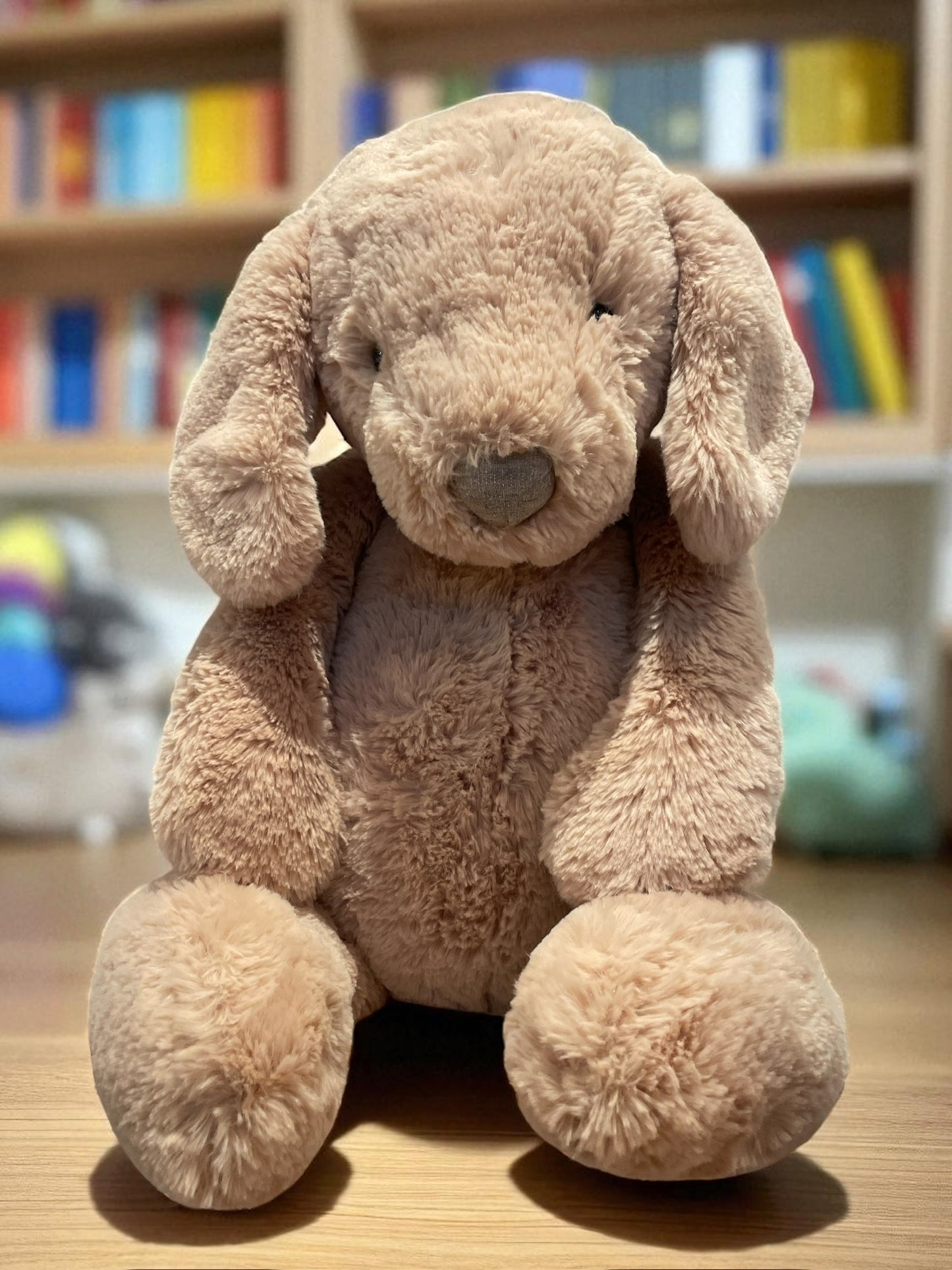 Hund - Bashful Luxe Puppy Orlando