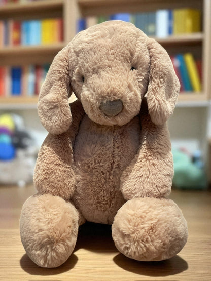 Hund - Bashful Luxe Puppy Orlando