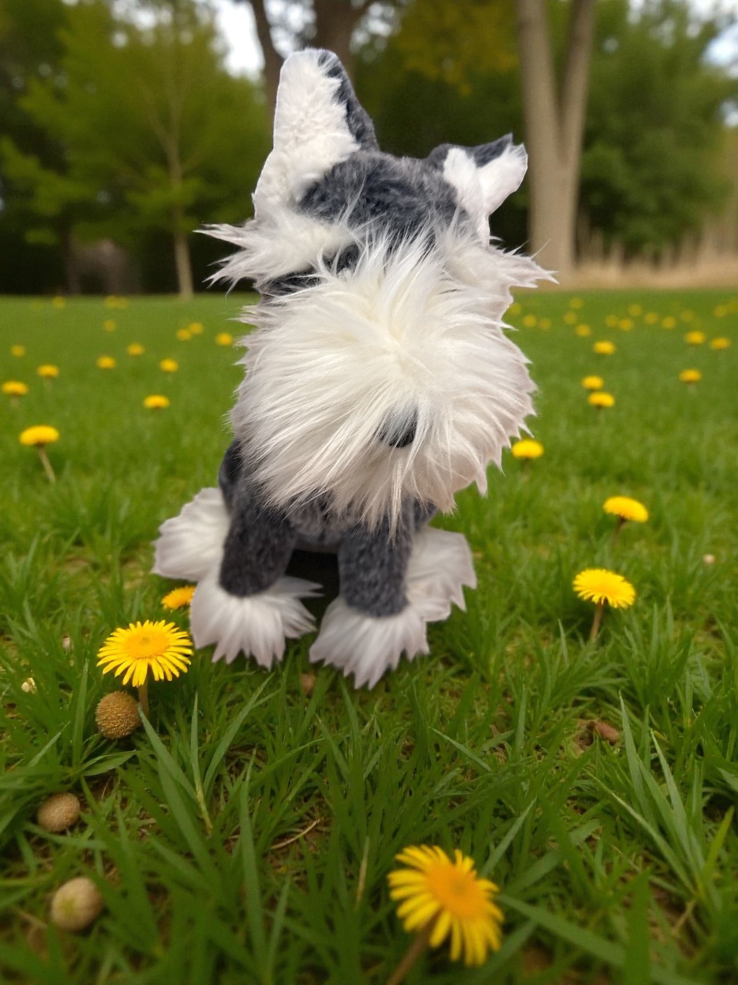 Riesenschnautzer - Lawrence Schnautzer