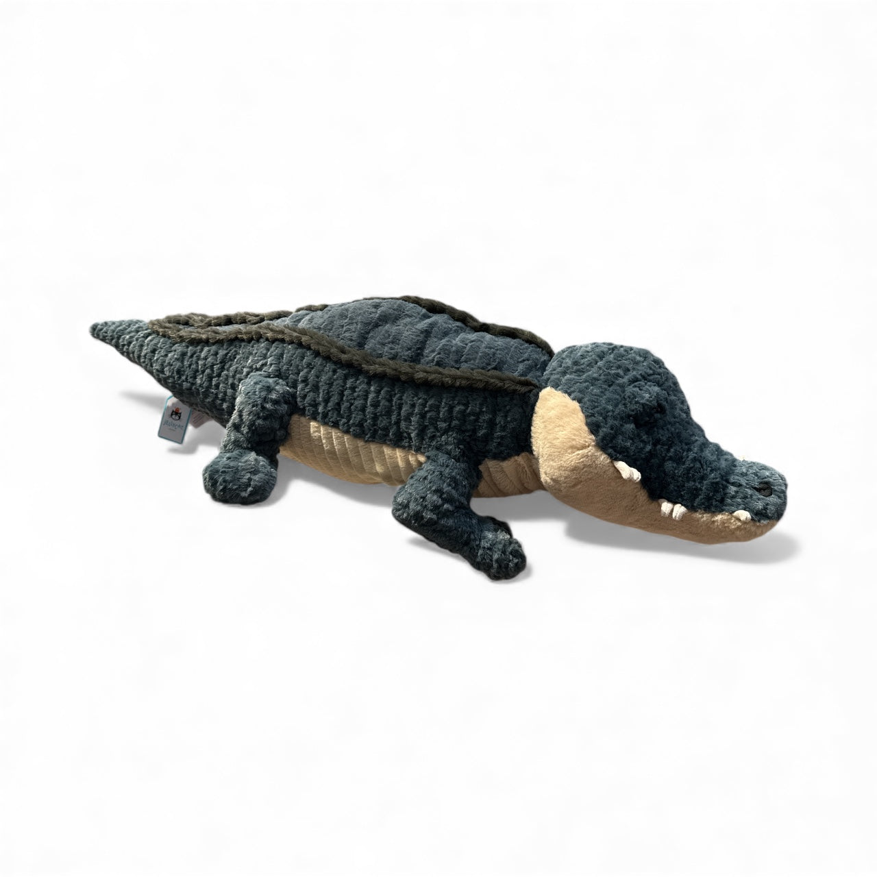 Allexi Alligator