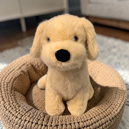 Kleiner Hund - Golden Puppy