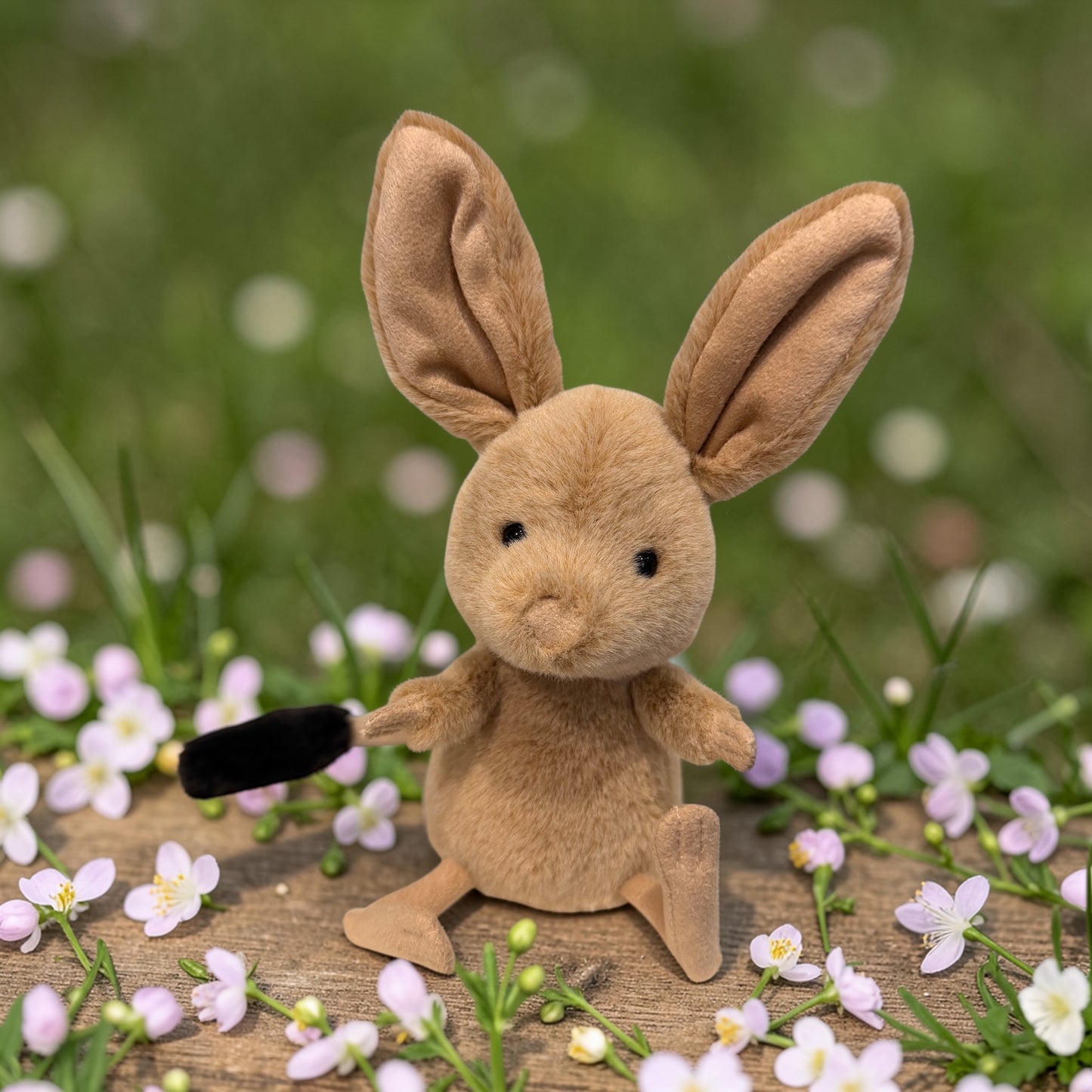 Jerboa - Springmaus