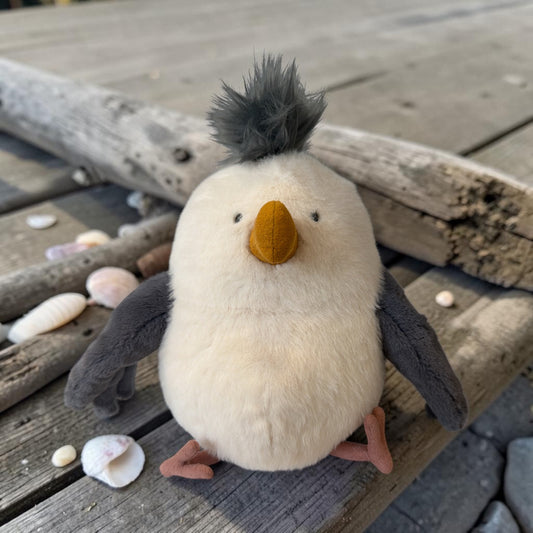 Chip Seagull