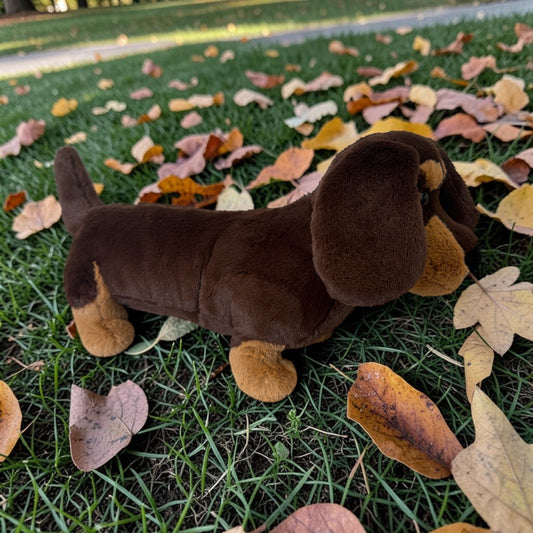 Otto Sausage Dog