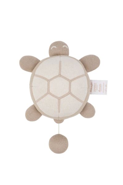 Spieluhr Schildkröte